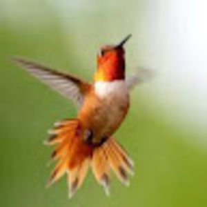 Meet your Posher, Camille